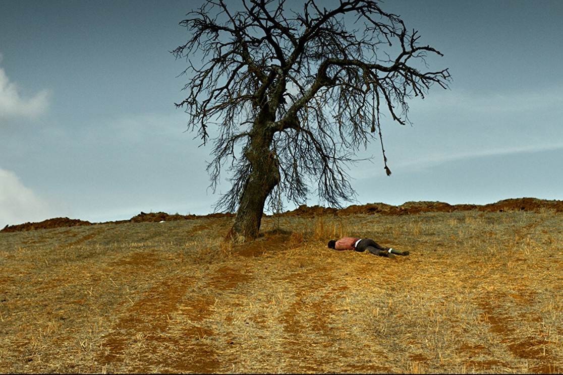 Ahlat Ağacı (2018): Bir Ağaç ve Ona Benzeyen, Biçimsiz Meyvesi